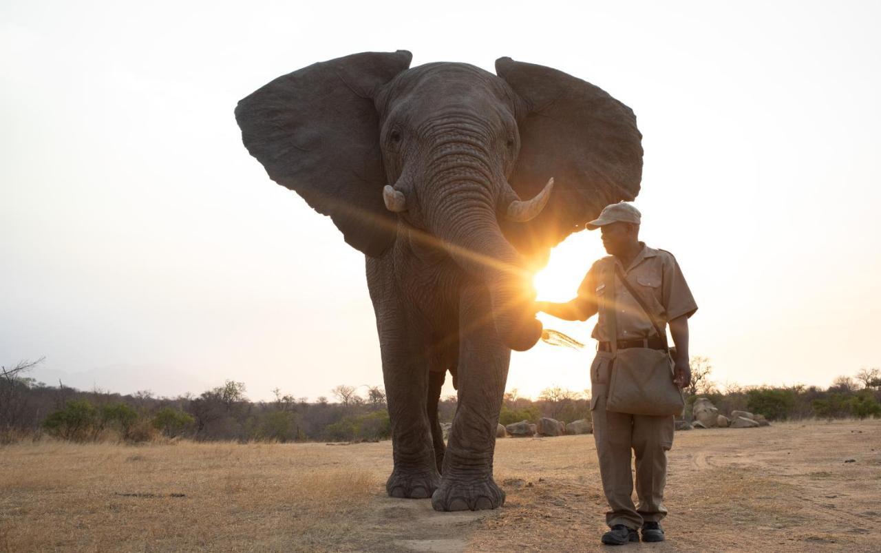 Jabulani Safari Villa Kapama jaktreservat Eksteriør bilde