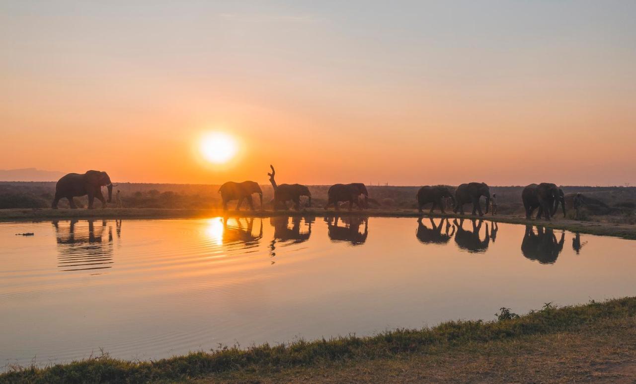 Jabulani Safari Villa Kapama jaktreservat Eksteriør bilde