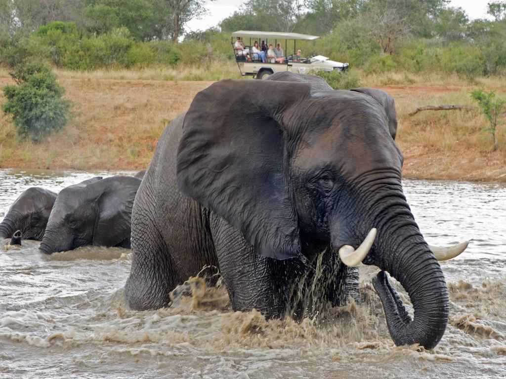 Jabulani Safari Villa Kapama jaktreservat Eksteriør bilde
